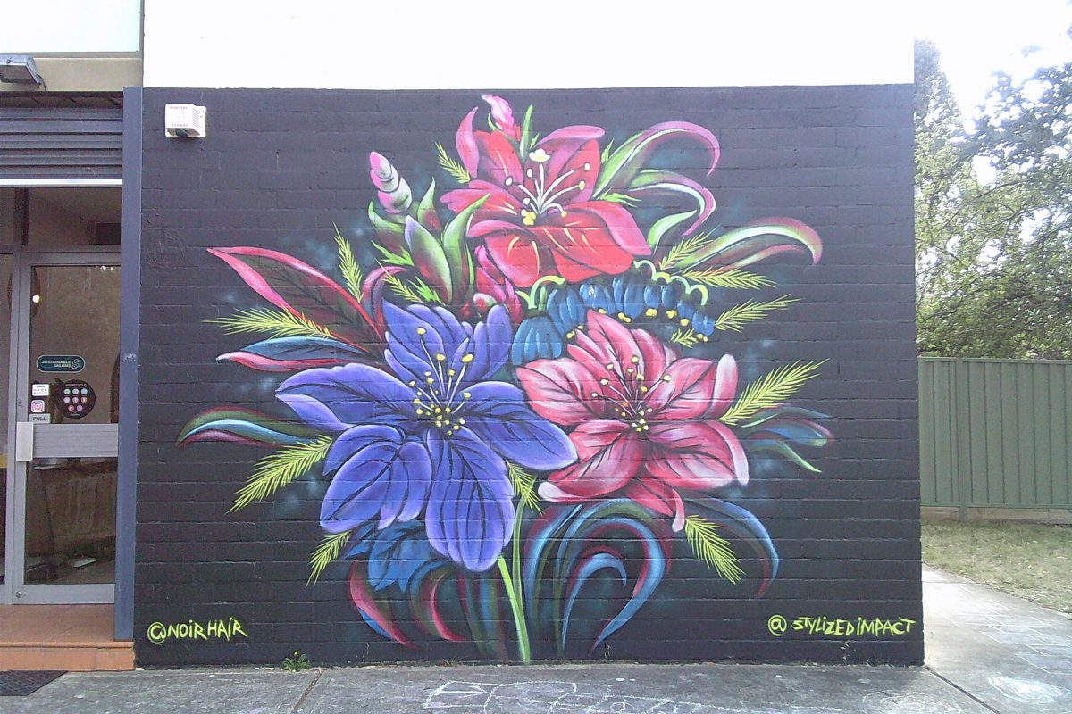 Cool Murals of Canberra:  Part 13 image
