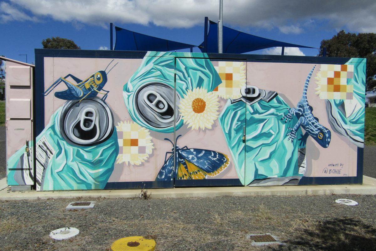 Cool Murals of Canberra:  Part 15 image